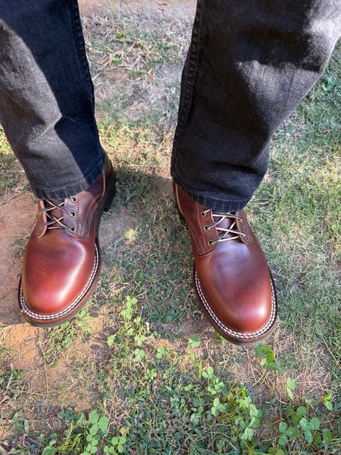 Photo by D1 on October 14, 2025 of the Nicks MTO in Italian Brown Cypress.