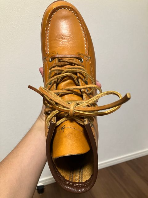 Photo by maru on September 20, 2024 of the Red Wing 6-Inch Classic Moc in S.B. Foot Sequoia Gold Russet.