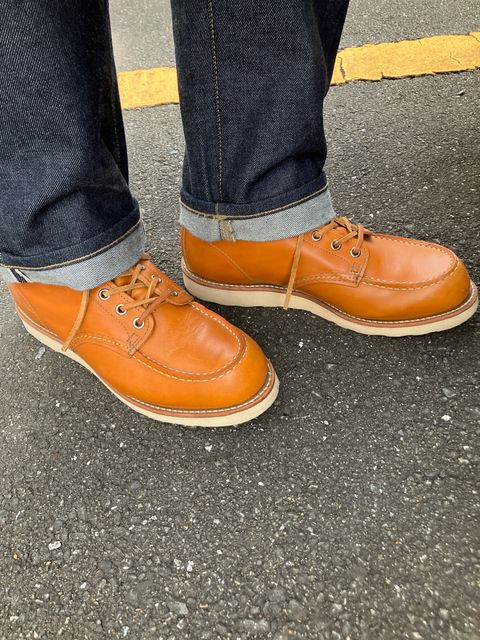 Photo by maru on January 12, 2025 of the Red Wing 6-Inch Classic Moc in S.B. Foot Sequoia Gold Russet.
