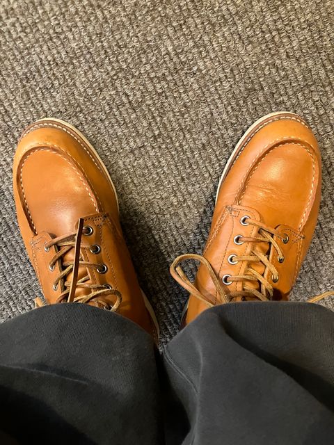 Photo by maru on June 8, 2025 of the Red Wing 6-Inch Classic Moc in S.B. Foot Sequoia Gold Russet.