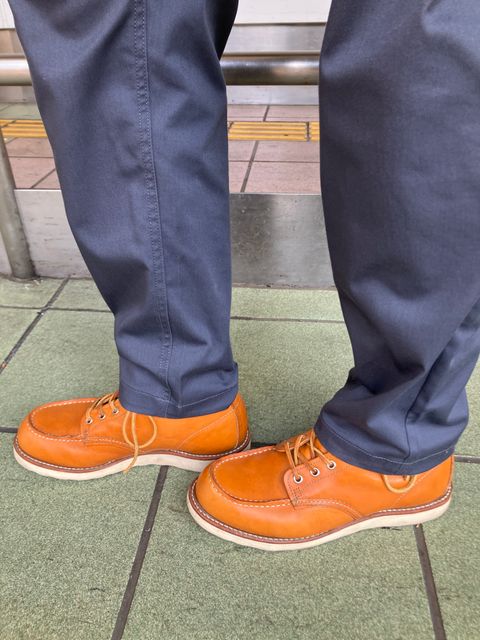 Photo by maru on July 28, 2025 of the Red Wing 6-Inch Classic Moc in S.B. Foot Sequoia Gold Russet.