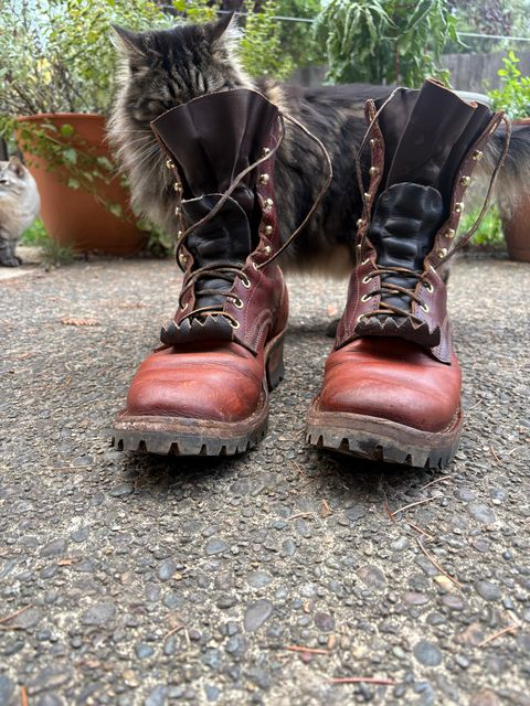 Photo by redmarengo on October 9, 2025 of the Frank's Boots Front Range in Wickett & Craig Chestnut Oiled Latigo & Wickett & Craig Tan Oiled Latigo & Wickett & Craig Navy Traditional Harness.