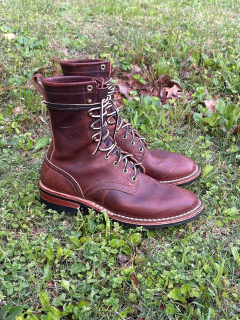Photo by jimmyshoestrings on April 11, 2025 of the Nicks Falcon in Italian Brown Cypress.