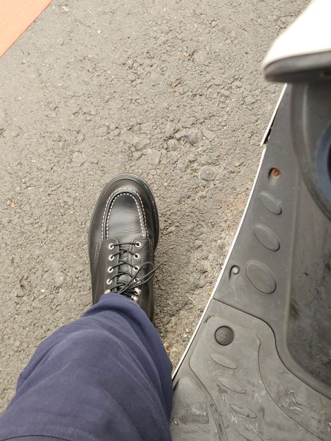 Photo by momatw on July 17, 2026 of the Red Wing 8133 in S.B. Foot Black Chrome.