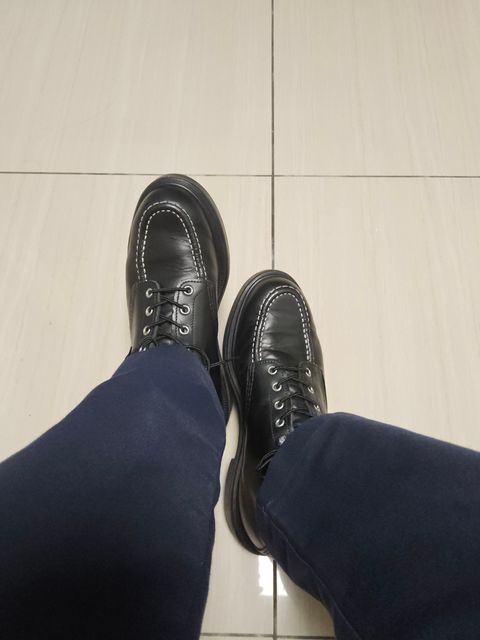 Photo by momatw on July 20, 2026 of the Red Wing 8133 in S.B. Foot Black Chrome.