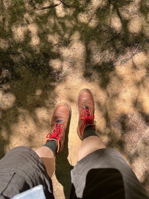 Photo by peckinpaws on May 17, 2025 of the Nicks Americana in Spokane Honey Waxed Flesh.