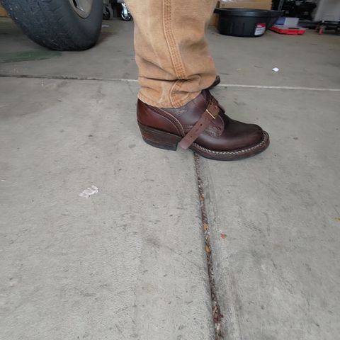 Photo by 3ringCircu5 on January 9, 2026 of the Nicks Heritage TankerPro in Horween Brown Chromexcel.
