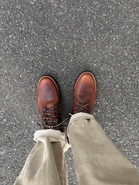 Photo by Nauta on May 27, 2026 of the Nicks Ivan in Italian Brown Cypress.
