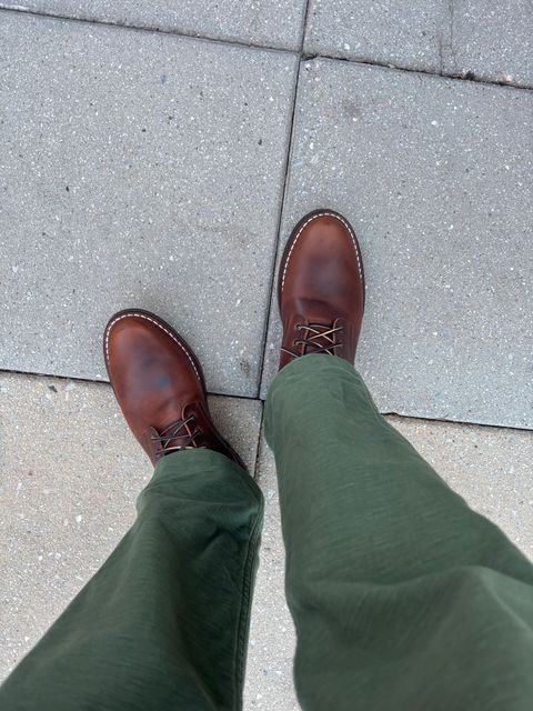 Photo by Nauta on May 28, 2026 of the Nicks Ivan in Italian Brown Cypress.