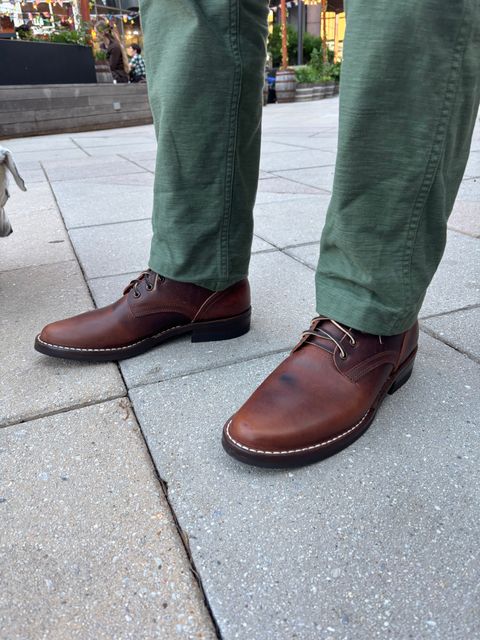 Photo by Nauta on May 28, 2026 of the Nicks Ivan in Italian Brown Cypress.