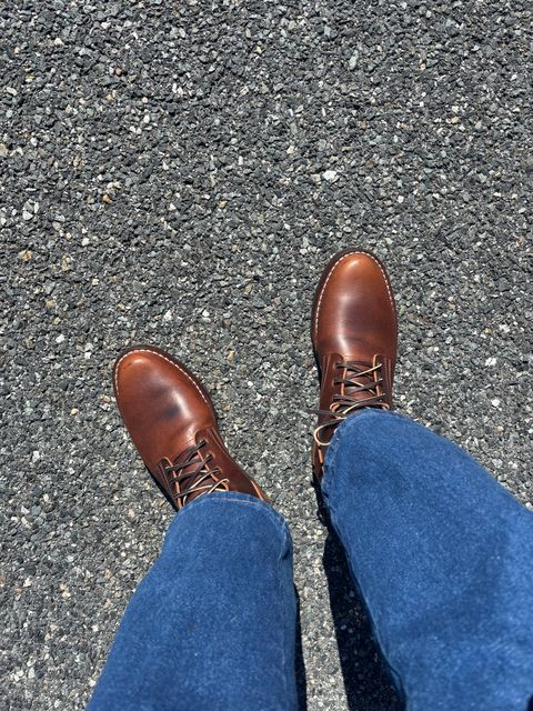 Photo by Nauta on May 29, 2026 of the Nicks Ivan in Italian Brown Cypress.