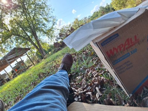 Photo by Arto on November 2, 2024 of the Red Wing Iron Ranger in S.B. Foot Copper Rough and Tough.