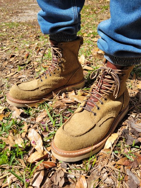 Photo by markieballa on February 23, 2025 of the Truman Upland Moc Toe Boot in Tasman Leather Group Coyote Roughout.