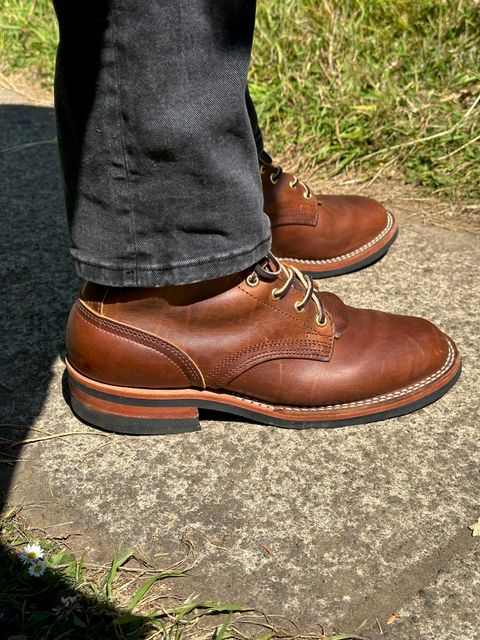 Photo by Mario357 on July 12, 2026 of the Nicks Falcon in Horween Orange Predator.