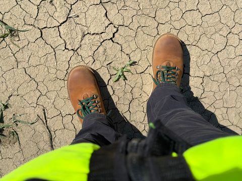 Photo by beerdlife on March 3, 2026 of the Jim Green Razorback Composite Toe in Fudge Crazy Horse.