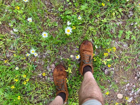 Photo by beerdlife on July 4, 2026 of the Jim Green African Ranger in Jim Green / Fudge Crazy Horse Roughout.