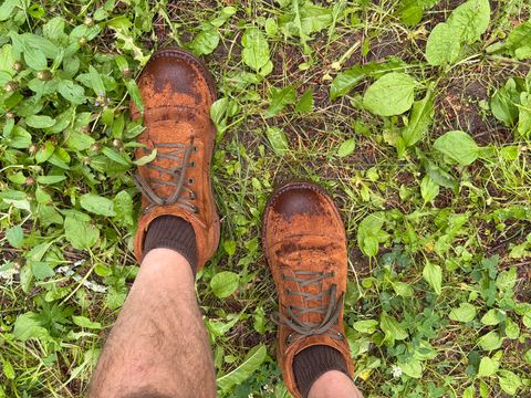 Photo by beerdlife on July 4, 2026 of the Jim Green African Ranger in Jim Green / Fudge Crazy Horse Roughout.