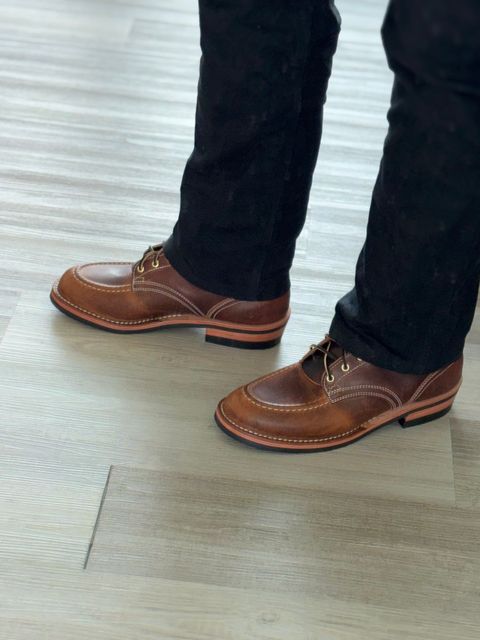 Photo by ValArb on April 14, 2026 of the Nicks MTO in Italian Brown Cypress.