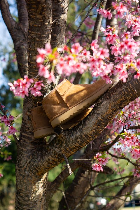 Photo by Barbaq on April 4, 2026 of the Ugg Classic Ultra Mini in Chestnut Sheepskin.