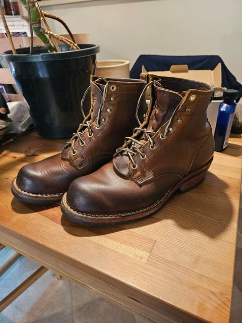Photo by Luke.to.Boot on April 28, 2025 of the Nicks Robert in Horween Orange Predator.