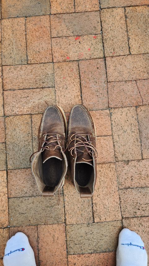 Photo by Oddbird on July 17, 2026 of the Rancourt & Co. Baxter Boot in Horween Buckaroo Dark Brown.