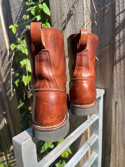 Photo by tomsbarkingdogs on February 5, 2026 of the Nicks Wellington 365 in Italian Brown Cypress.