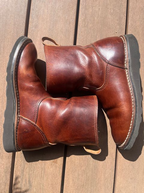 Photo by tomsbarkingdogs on April 2, 2026 of the Nicks Wellington 365 in Italian Brown Cypress.