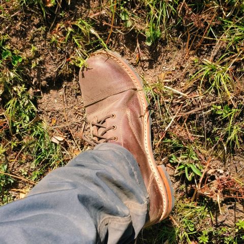 Photo by Nakul on April 27, 2025 of the Craft & Glory 6" Ranger Boots in Full Grain Bufallo Oiled Leather.