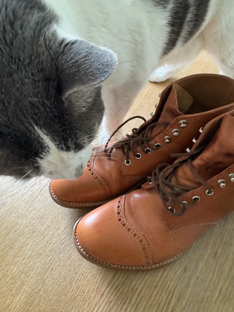 Photo by lemoncurry on July 6, 2026 of the Saddleback Leather Officer’s Boot in Unknown Natural Veg Tan.