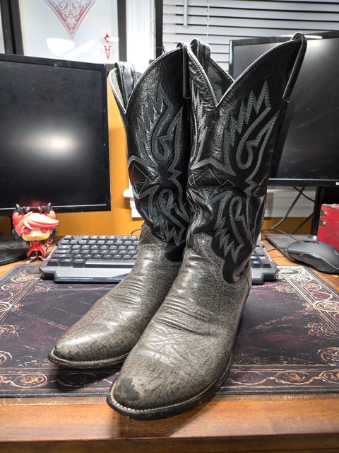 Photo by Jackpot_Johnson on July 2, 2026 of the Justin 9044 in Cowhide.