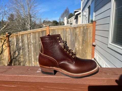 Photo by therealt20 on February 28, 2025 of the John Lofgren Steel Gang in Shinki Dark Brown Horsebutt.