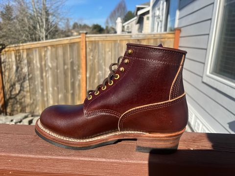 Photo by therealt20 on February 28, 2025 of the John Lofgren Steel Gang in Shinki Dark Brown Horsebutt.