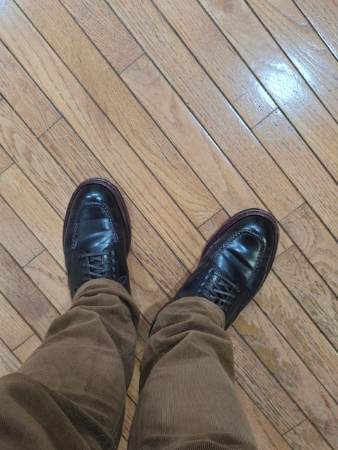 Photo by johannarceo on February 9, 2025 of the Alden Indy Boot in Horween Color 8 Shell Cordovan.