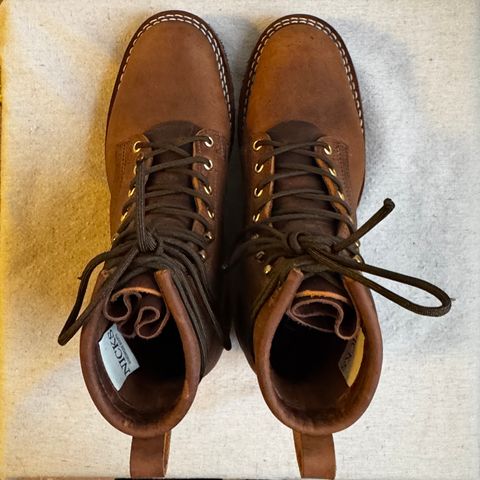 Photo by brvcha on December 8, 2025 of the Nicks Robert in Horween Orange Predator.