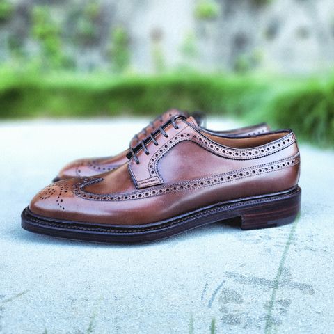 Photo by Janbiya on October 5, 2025 of the Carmina Long Wing Blucher Shoes 532 in Horween Armagnac Shell Cordovan.