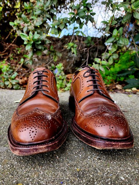 Photo by Janbiya on February 1, 2026 of the Carmina Long Wing Blucher Shoes 532 in Horween Armagnac Shell Cordovan.