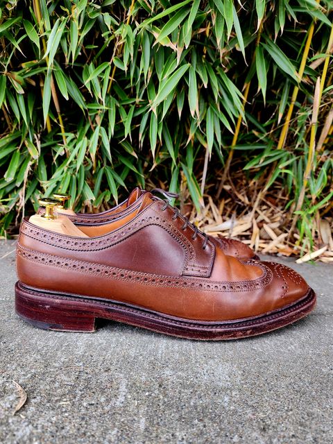 Photo by Janbiya on February 1, 2026 of the Carmina Long Wing Blucher Shoes 532 in Horween Armagnac Shell Cordovan.