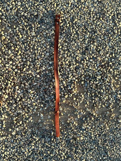 Photo by AndrewsBoots on December 1, 2025 of the Homestead Brand Essential Leather Belt No. 1508 in Distressed Brown Full Grain USA Tanned Latigo.