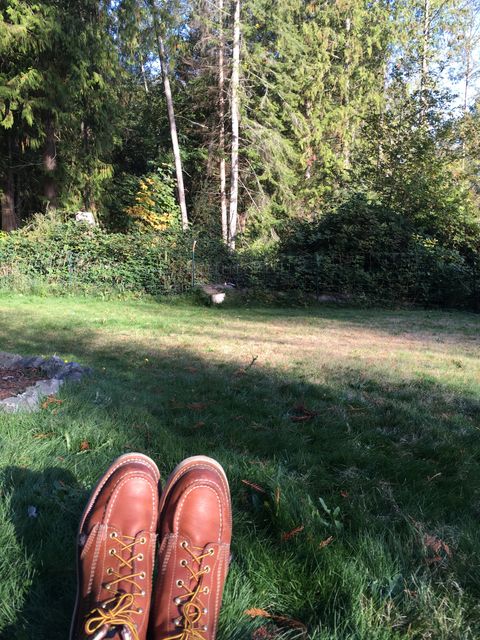 Photo by mossy on October 11, 2018 of the Thorogood American Heritage 8" Moc Toe in Tobacco Gladiator Oil-Tanned.
