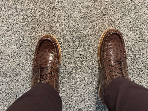 Photo by jmcmillan on July 10, 2025 of the Grant Stone Field Boot in Kango Tobacco Ostrich.