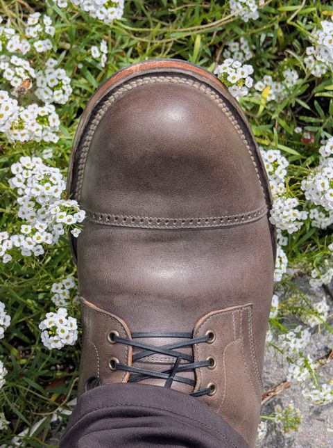 Photo by patina_colada on September 16, 2025 of the Viberg Service Boot BCT in Viberg / Maryam Asfalto Horsebutt.