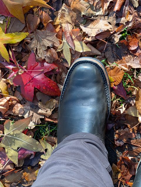 Photo by patina_colada on November 26, 2025 of the Wesco Mister Lou in Maryam Petrolio Waxed Black Horsehide.