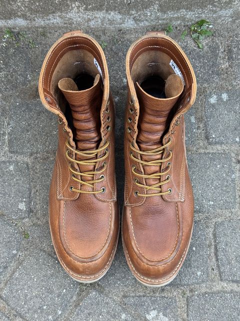 Photo by switchtrue on April 4, 2026 of the Truman Upland Boot in British Tan Grizzly.