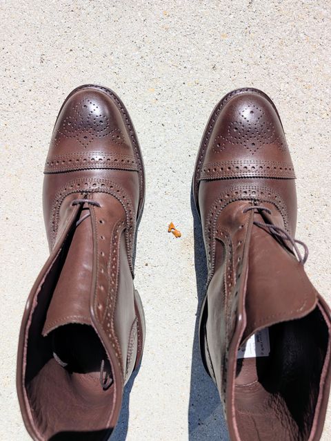 Photo by lemonpeak on February 16, 2026 of the Allen Edmonds Hamilton in Allen Edmonds Brown.