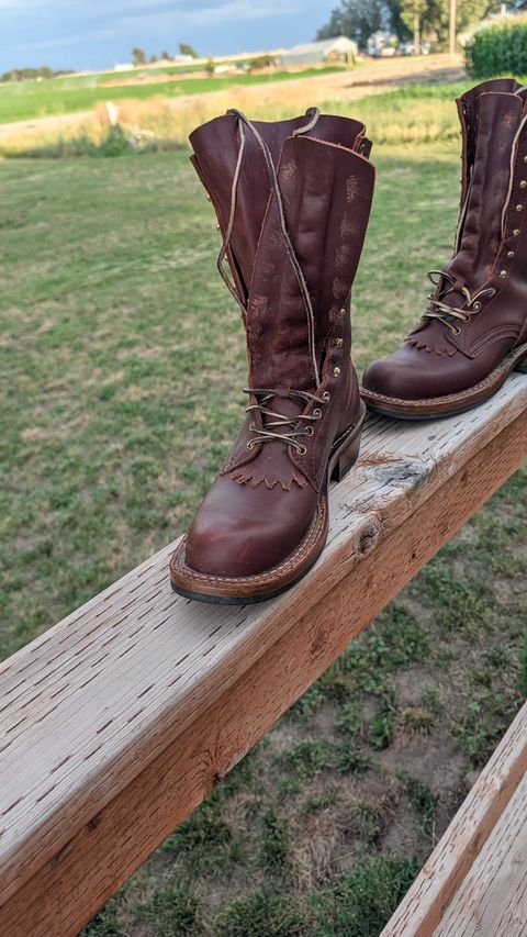 Photo by dohyde34 on July 25, 2026 of the White's x Rose Anvil Drifter in Seidel Red Dog Oil Tan.