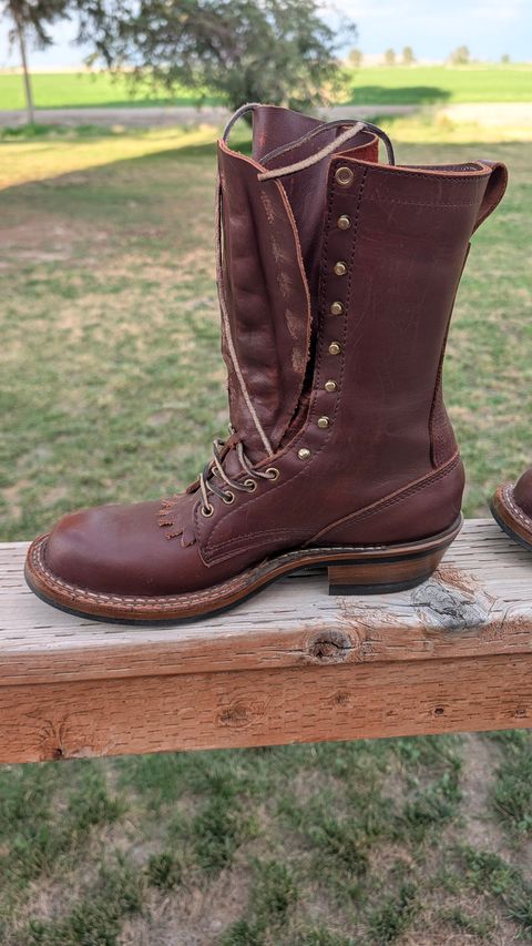 Photo by dohyde34 on July 25, 2026 of the White's x Rose Anvil Drifter in Seidel Red Dog Oil Tan.