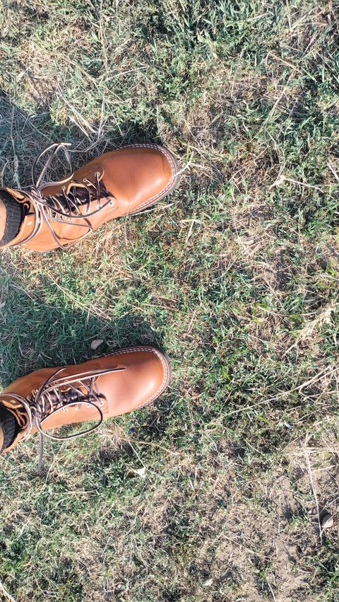 Photo by StuntTriple on August 3, 2025 of the Nicks Strider ZD in Nicks / Horween Honey Spokane.