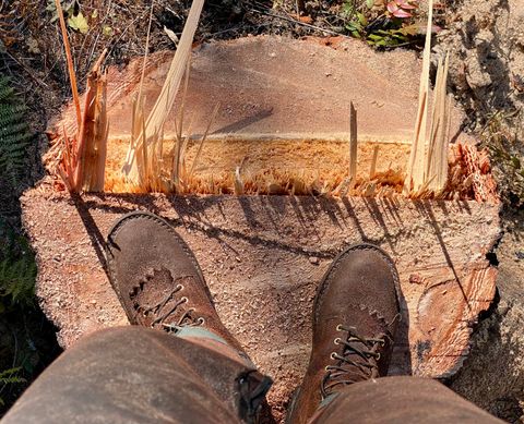 Photo by SerotinousCone on October 20, 2025 of the Frank's Boots Ground Pounder in Seidel Chocolate Oil Tan Roughout.