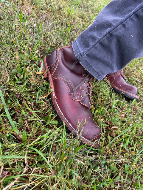 Photo by AFrat on October 12, 2025 of the Nicks MTO in Wickett & Craig Burgundy Double Stuffed.
