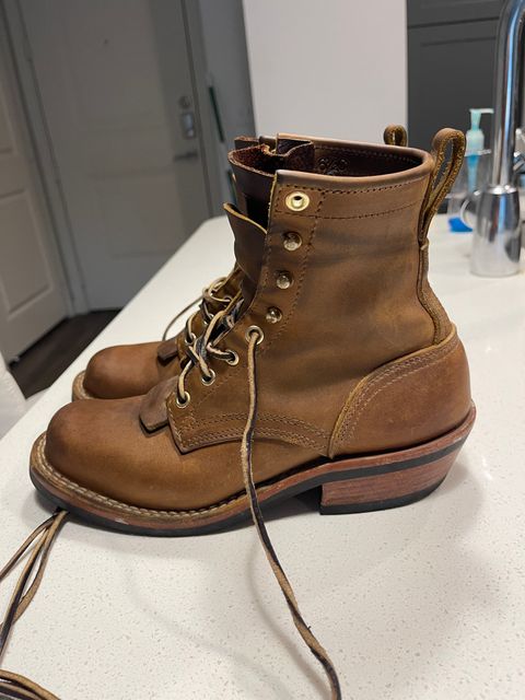 Photo by indigo_flame on September 12, 2024 of the Nicks Robert in Horween Orange Predator.